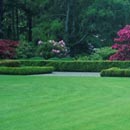Lawn Service Program