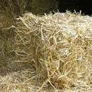 bales straw